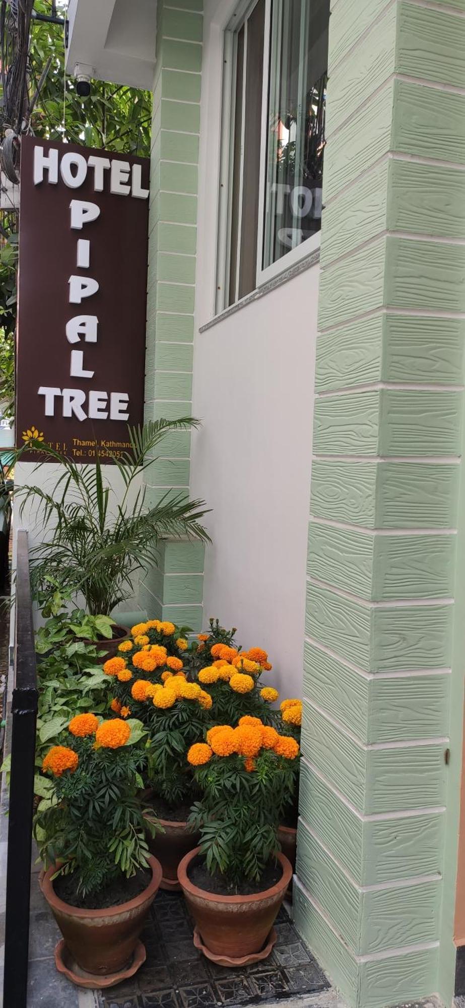 Hotel Pipal Tree カトマンズ エクステリア 写真